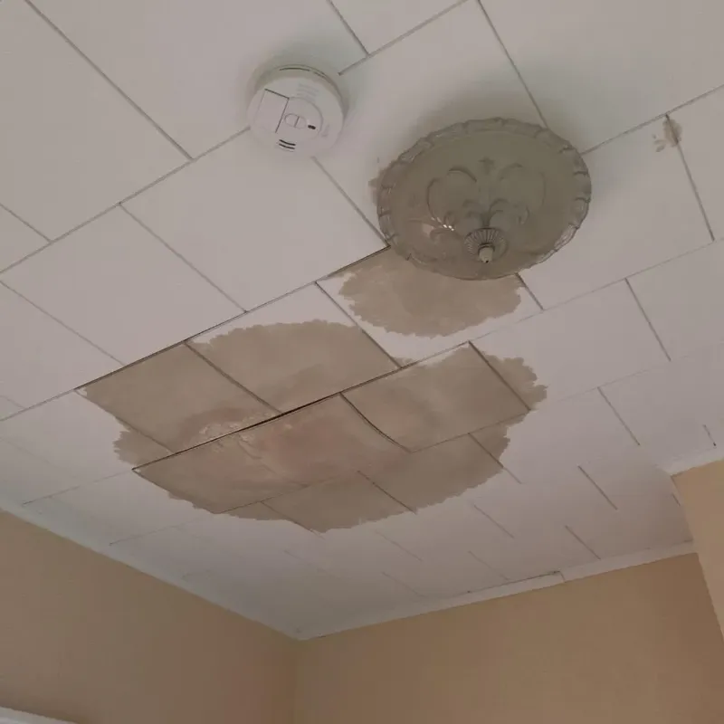 Ceiling Water Damage Repair in Ambridge, PA