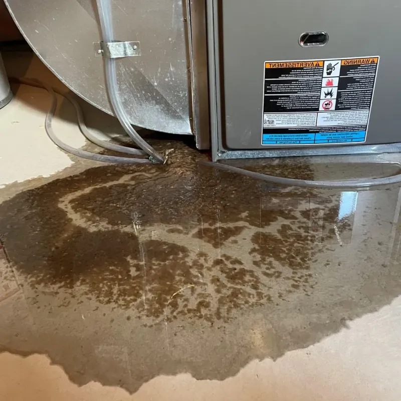 Pipe Burst and Leak Restoration in Ambridge, PA